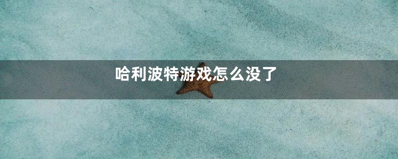 哈利波特游戏怎么没了