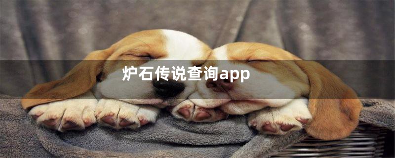 炉石传说查询app