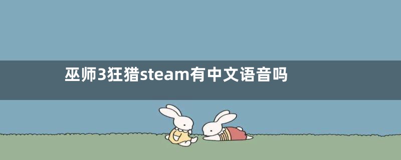 巫师3狂猎steam有中文语音吗