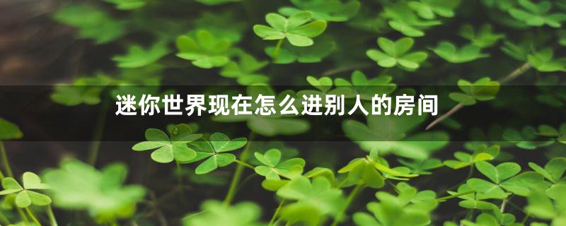 迷你世界现在怎么进别人的房间