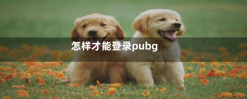 怎样才能登录pubg