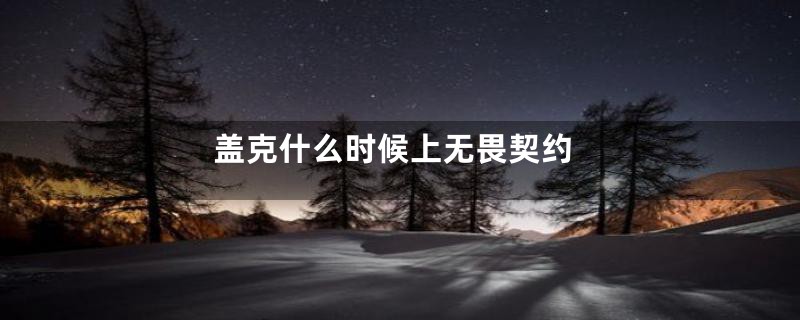 盖克什么时候上无畏契约