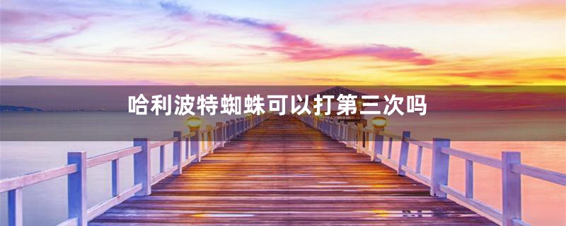 哈利波特蜘蛛可以打第三次吗