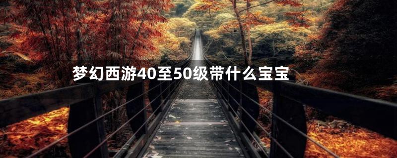 梦幻西游40至50级带什么宝宝