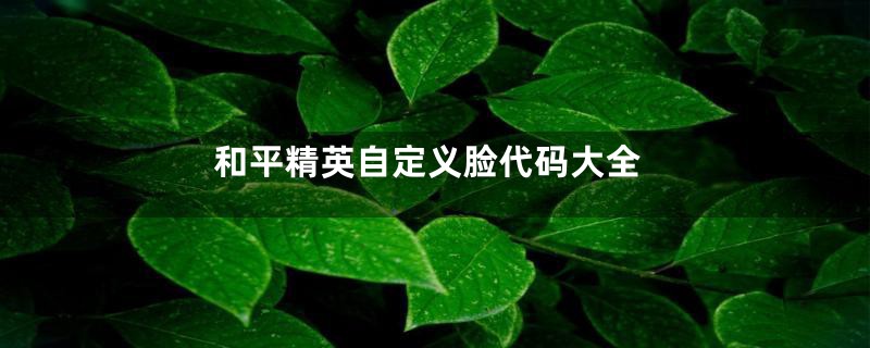 和平精英自定义脸代码大全