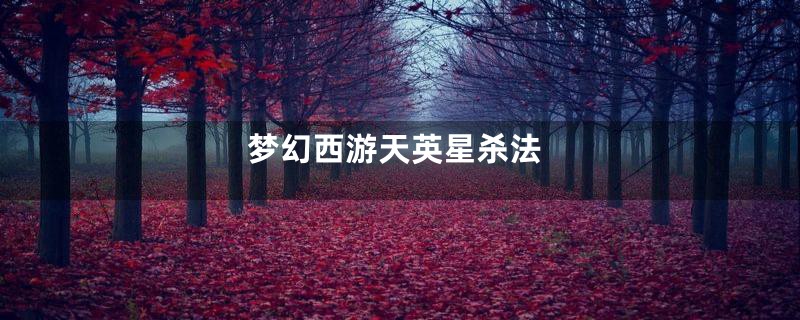 梦幻西游天英星杀法