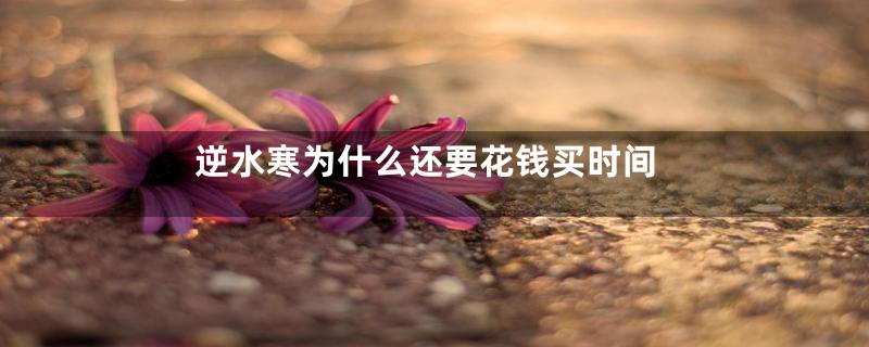 逆水寒为什么还要花钱买时间