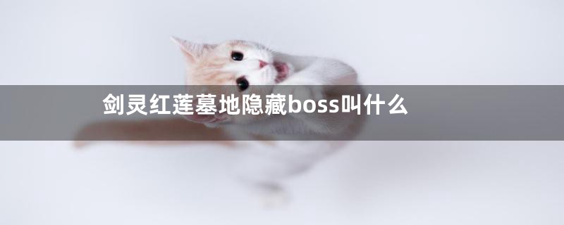 剑灵红莲墓地隐藏boss叫什么