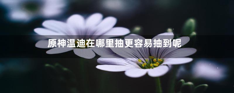 原神温迪在哪里抽更容易抽到呢