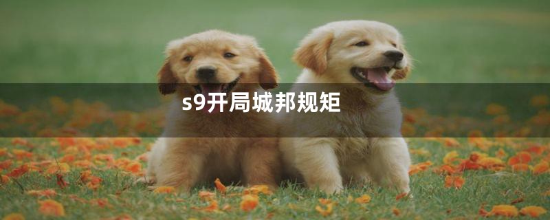 s9开局城邦规矩