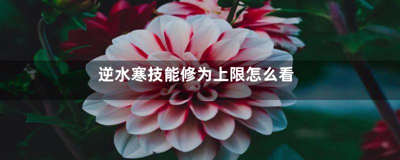 逆水寒技能修为上限怎么看