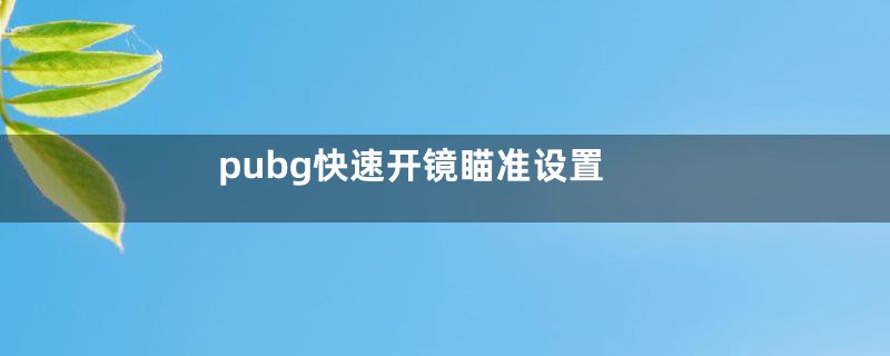 pubg快速开镜瞄准设置