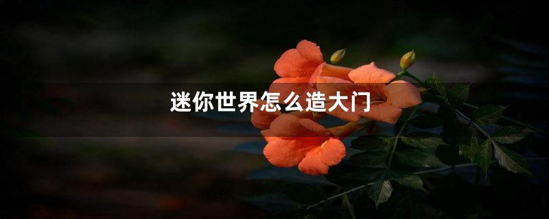 迷你世界怎么造大门