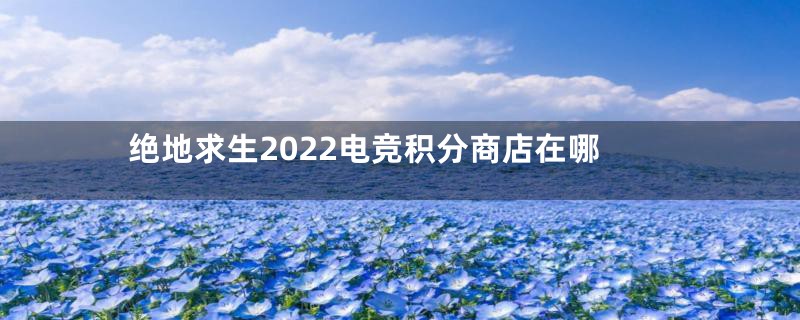 绝地求生2022电竞积分商店在哪