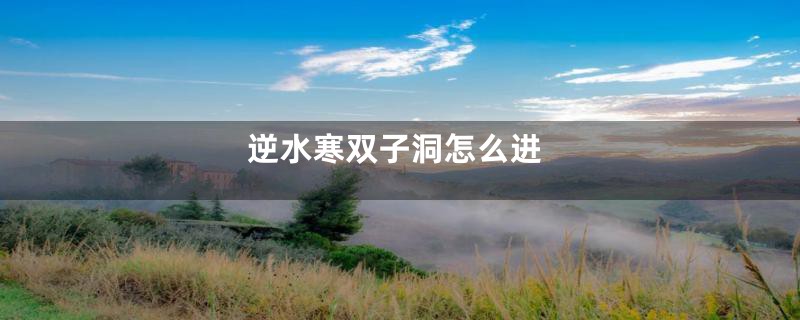 逆水寒双子洞怎么进