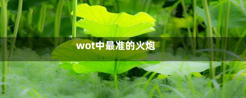 wot中最准的火炮