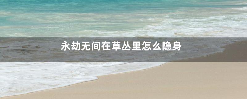 永劫无间在草丛里怎么隐身