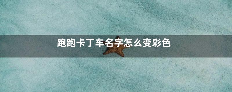 跑跑卡丁车名字怎么变彩色