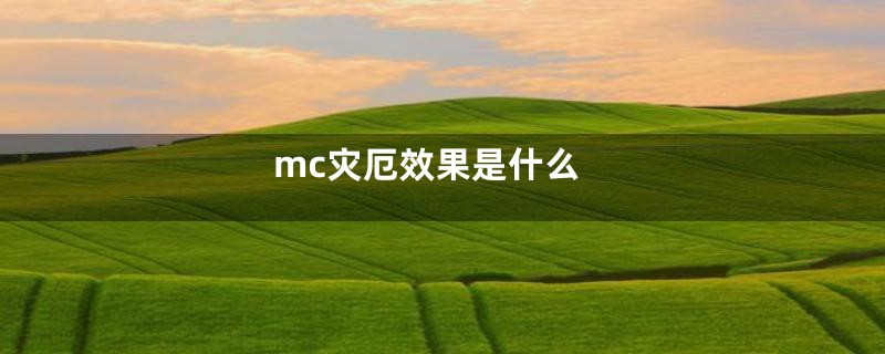 mc灾厄效果是什么