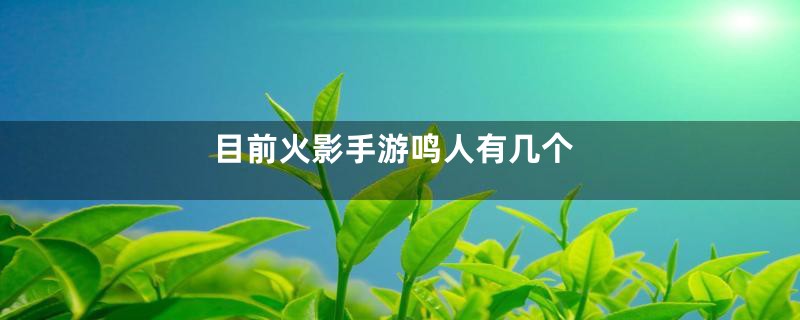 目前火影手游鸣人有几个