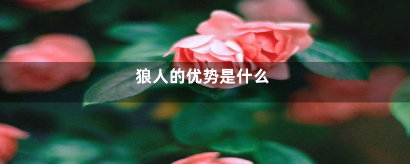 狼人的优势是什么