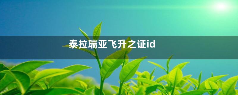 泰拉瑞亚飞升之证id