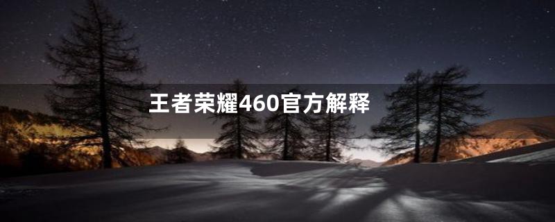 王者荣耀460官方解释