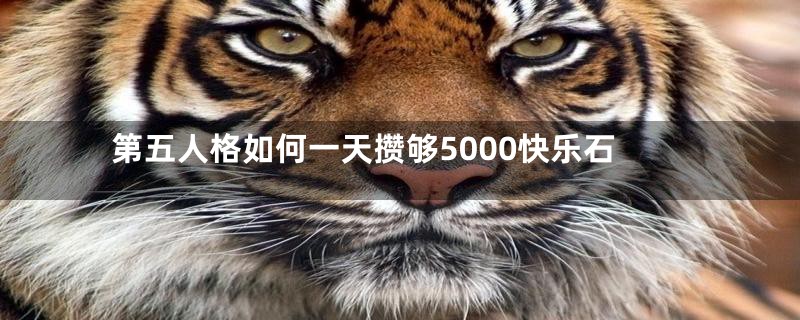 第五人格如何一天攒够5000快乐石