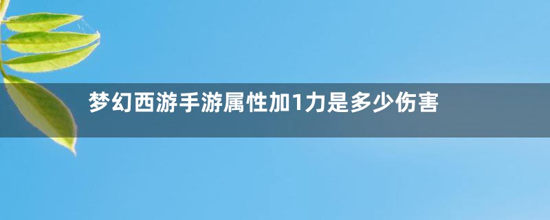 梦幻西游手游属性加1力是多少伤害