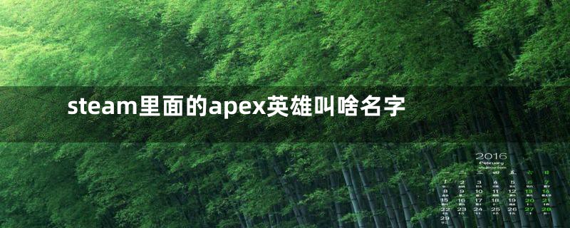 steam里面的apex英雄叫啥名字