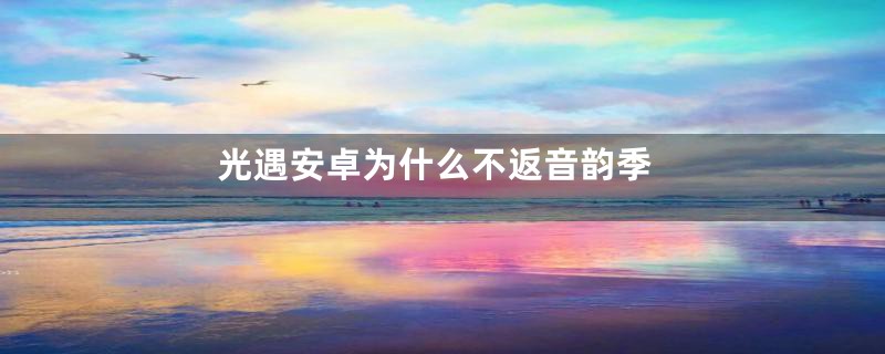 光遇安卓为什么不返音韵季