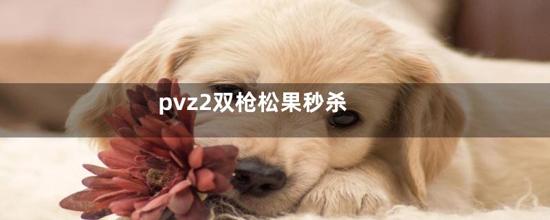 pvz2双枪松果秒杀