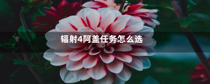 辐射4阿盖任务怎么选