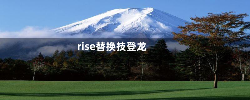 rise替换技登龙