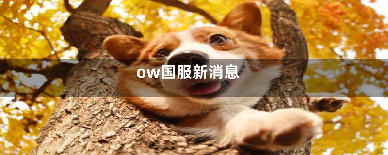 ow国服新消息