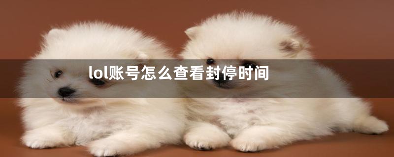 lol账号怎么查看封停时间