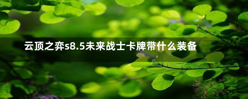 云顶之弈s8.5未来战士卡牌带什么装备