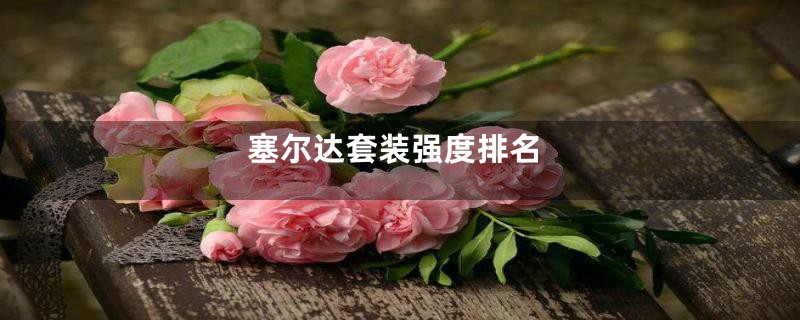 塞尔达套装强度排名