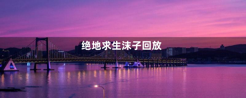 绝地求生沫子回放