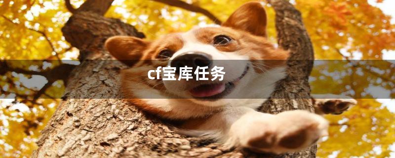 cf宝库任务