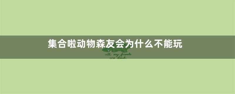 集合啦动物森友会为什么不能玩