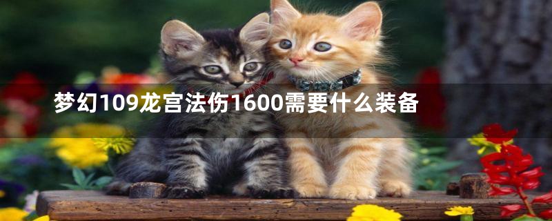 梦幻109龙宫法伤1600需要什么装备