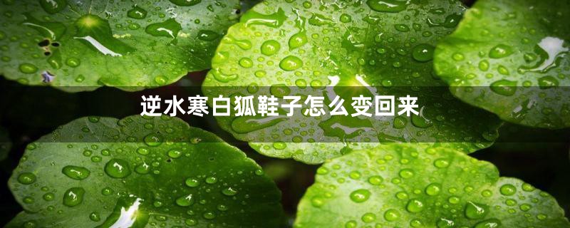 逆水寒白狐鞋子怎么变回来