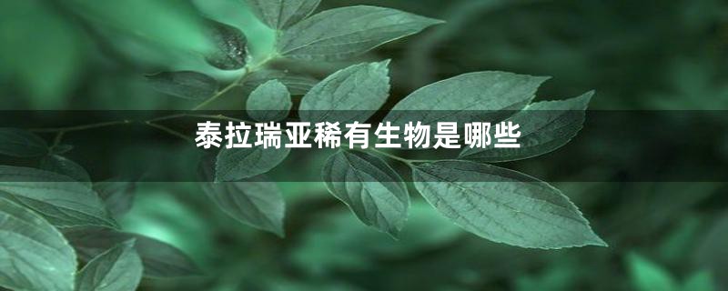 泰拉瑞亚稀有生物是哪些