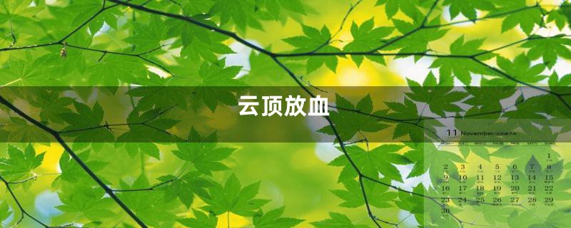 云顶放血