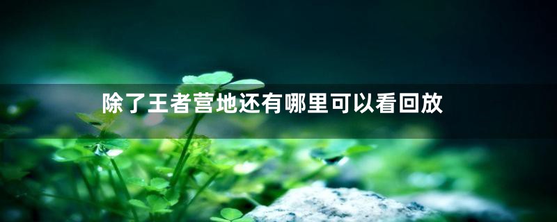 除了王者营地还有哪里可以看回放