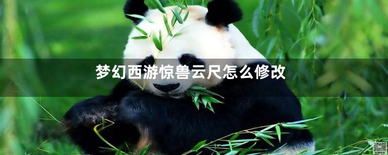 梦幻西游惊兽云尺怎么修改