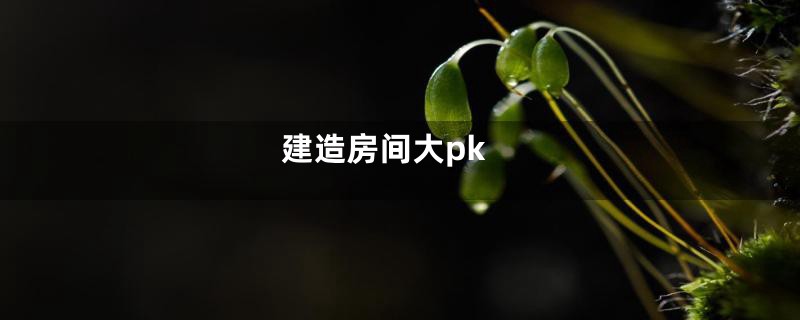 建造房间大pk