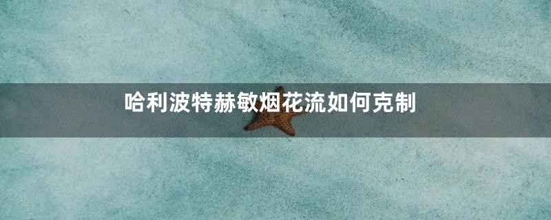 哈利波特赫敏烟花流如何克制