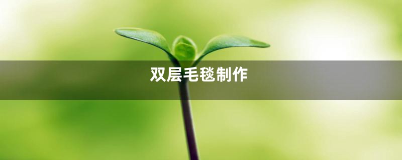 双层毛毯制作